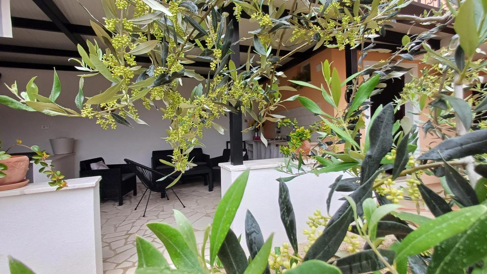 Casa Simeti Lägenhet Poreč Exteriör bild